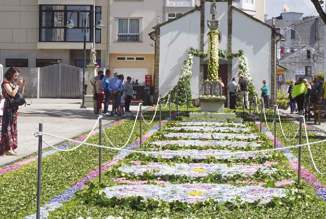 alfombra floral as pontes3