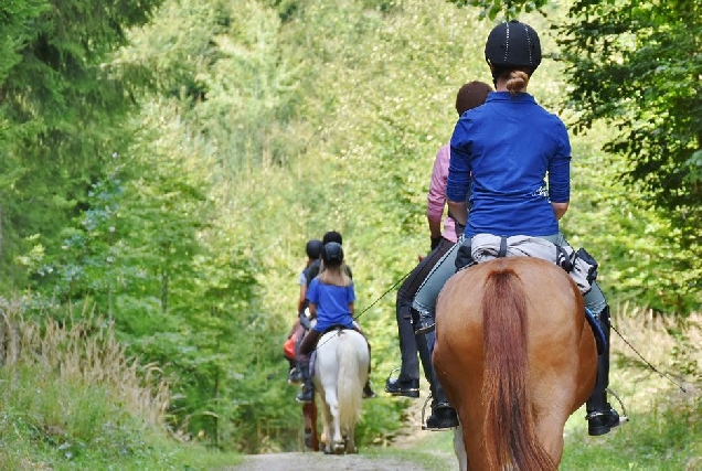 cabalo equitacion curso roteiro