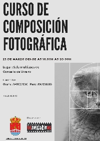 Composicion fotografica curso viveiro