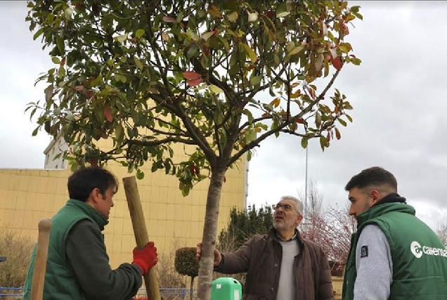 Medio Ambiente arbores