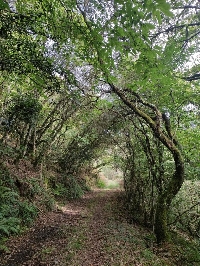 trabada acceso ruta sendeirimo fraga da vilapena 1