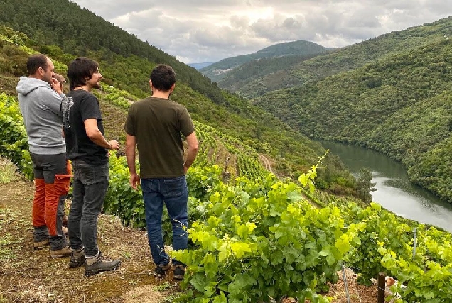 vista vinedos ribeira sacra