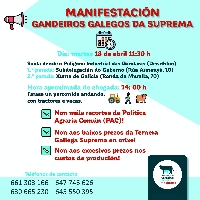 Manifestacion lugo