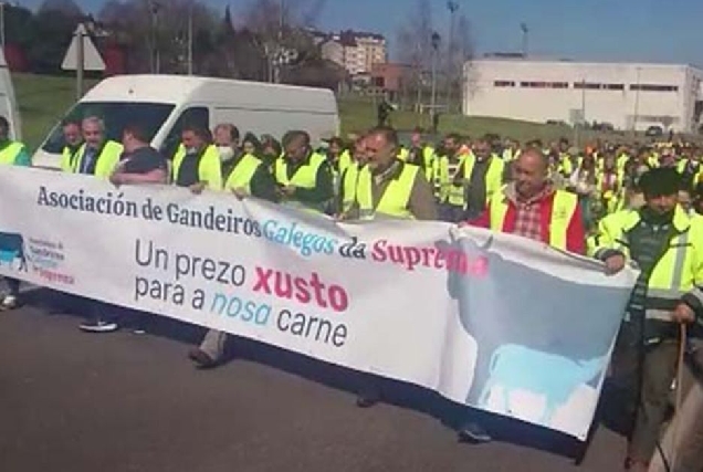 marcha suprema gandeiros lugo