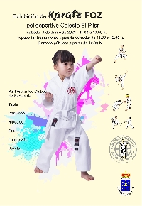 Exhibición de karate Club Shitokai A Mariña Asturias