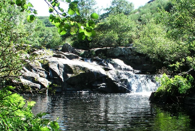 Torrentes de macara 2