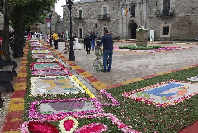 alfombras florais meira