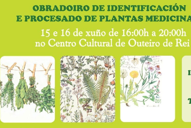 obradoiro plantas medicinais outeiro