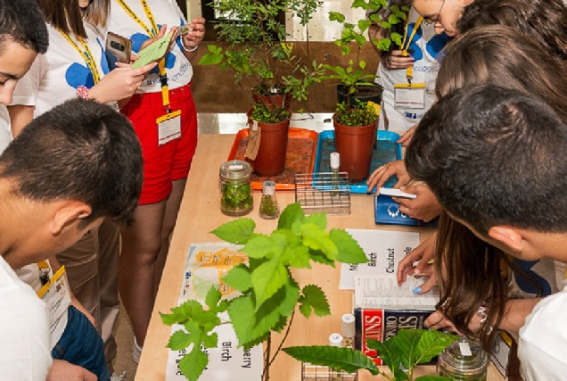 xuvenciencia campus terra lugo