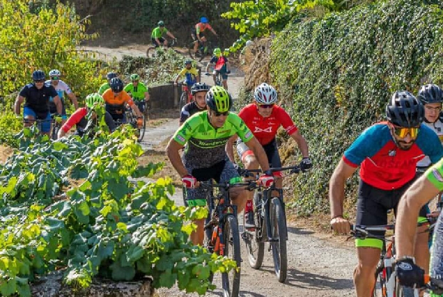 Santa Cruz Bike Sober