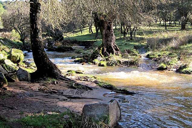 Camiño Eufrasiano