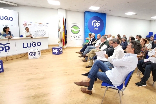 Xunta directiva partido popular lugo