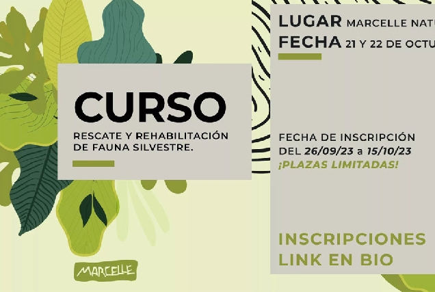 curso rescate natureza marcelle portada