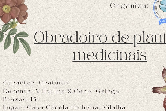 obradoiro plantas medicinais insua portada