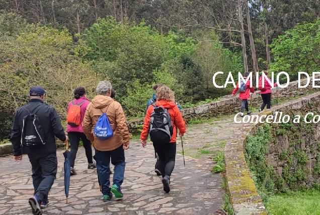 camino mar foto