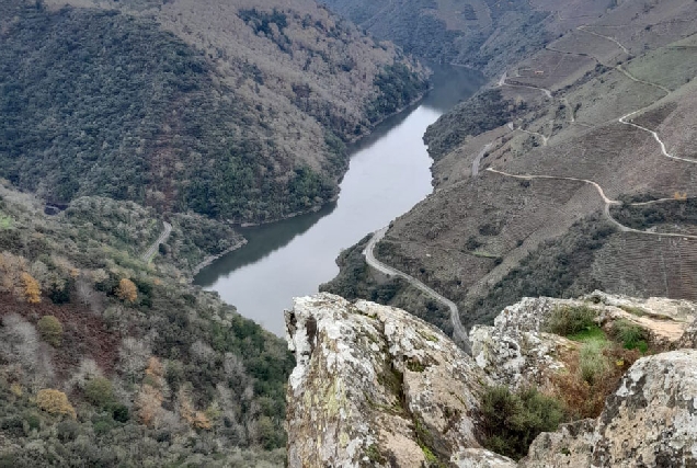 Ribeira-Sacra-Doade