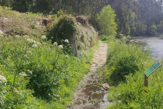 Paseo fluvial Viveiro