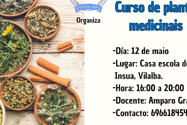 obradoiro plantas medicinais insua portada