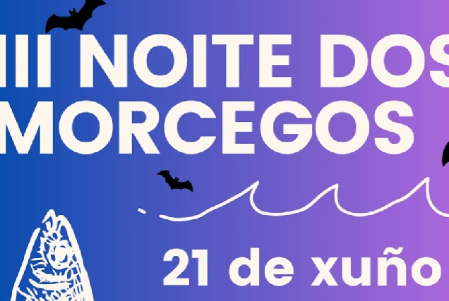 Cartel da terceira edición da Noite dos Morcegos de Taboadela