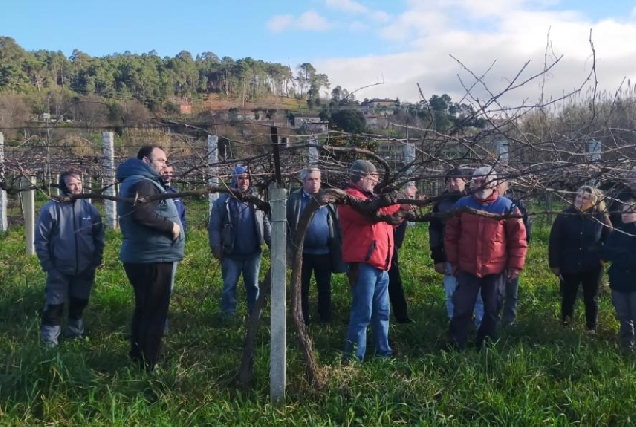 Participantes nun dos cursos de poda da Xunta de Galicia