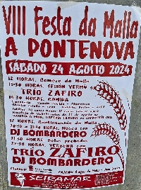 festa da malla a pontenova