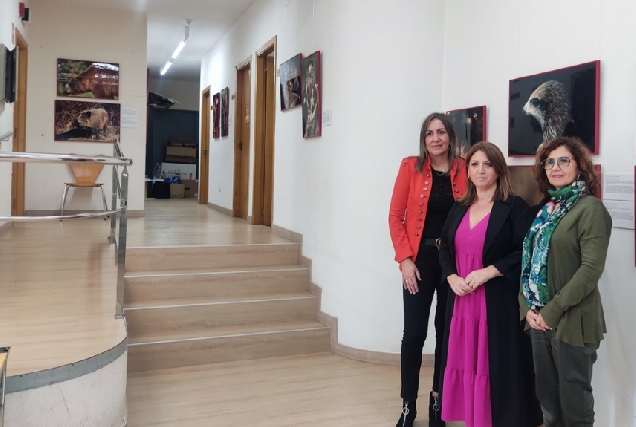 Inauguración da mostra 'Fauna Esencial' en Allariz