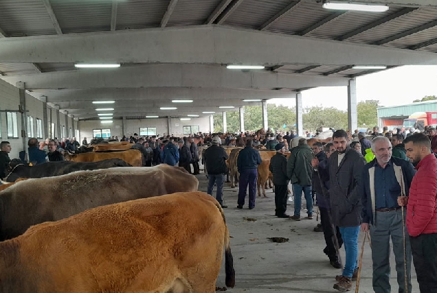 Feira-de-Santos-Monterroso