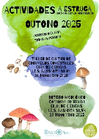 actividades outono vilalba